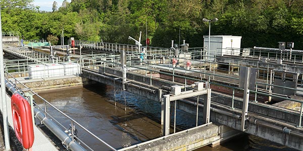 stickstoffelimination